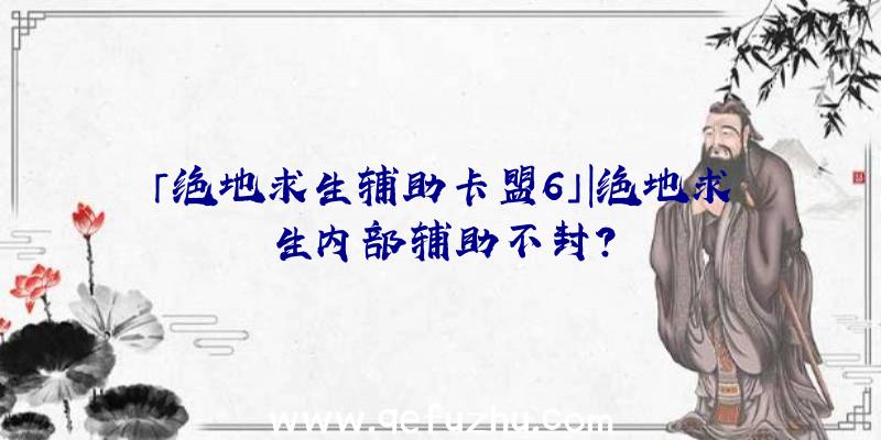 「绝地求生辅助卡盟6」|绝地求生内部辅助不封？